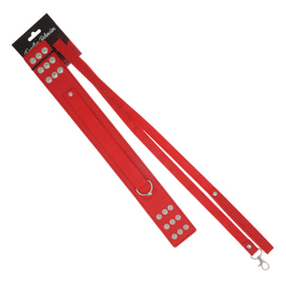 EFFECTIVE BEHAVIOR COLLAR,LEASH - RED