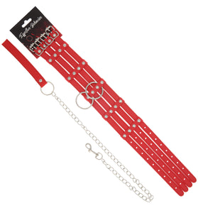 EFFECTIVE BEHAVIOR FENCE STACKED COLLAR,LEASH - RED