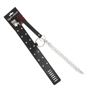 COLLAR BLACK W/CIRCLE RIVETS W/LEASH