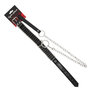 EFFECTIVE BEHAVIOR COLLAR,LEASH - BLACK,METAL