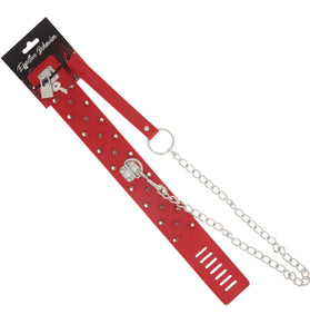 COLLAR RED W/RIVIT SPIKES AND LEASH