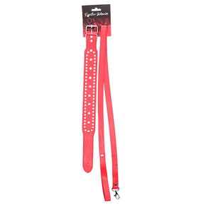 EFECTIVE BEHAVIOR FAUX LEATHER COLLAR/LEASH