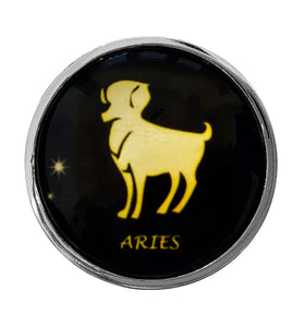 Zodiac Stainless Butt Plug