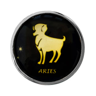 Zodiac Stainless Butt Plug