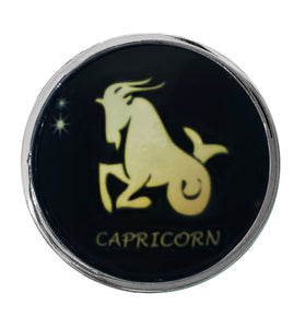 Zodiac Stainless Butt Plug, Capricorn