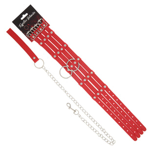 EFFECTIVE BEHAVIOR FENCE STACKED COLLAR,LEASH - RED
