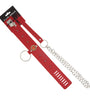 COLLAR PVC W/METAL STUDS-CENTER JEWEL-LEASH