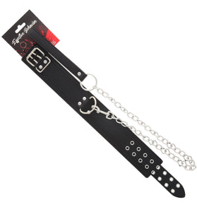 COLLAR BLACK PVC DOUBLE BUCKLE W/LEASH