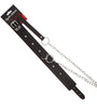 COLLAR BLACK/RED STITCHING W/LEASH