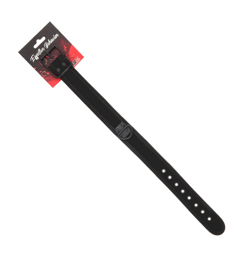 Collar Black/Black Trim with Single Ring Loop