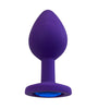 PURPLE SILICONE PLUG