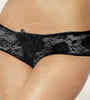 NOT SO SECRET CROTCHLESS LACE PANTY