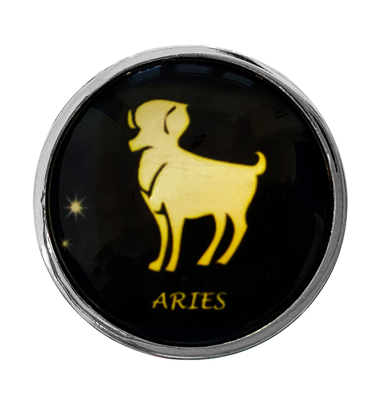 Zodiac Stainless Butt Plug, Aries