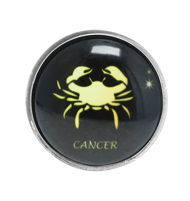 Zodiac Butt Plug, Cancer