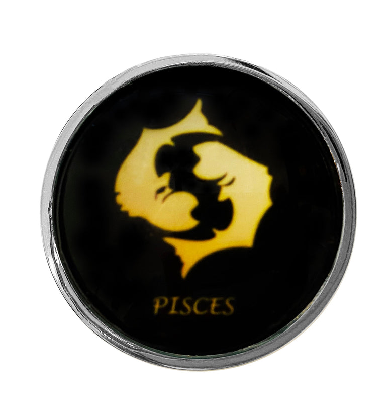 Zodiac Butt Plug, Pisces