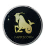Zodiac Stainless Butt Plug, Capricorn