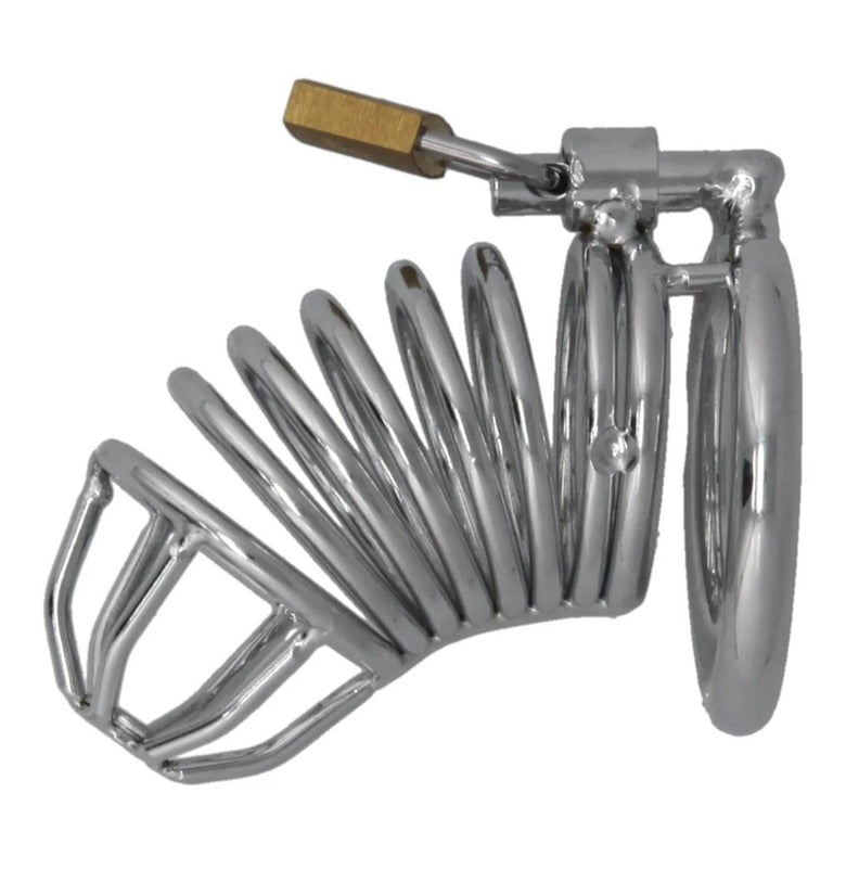 Locking Penis Cage